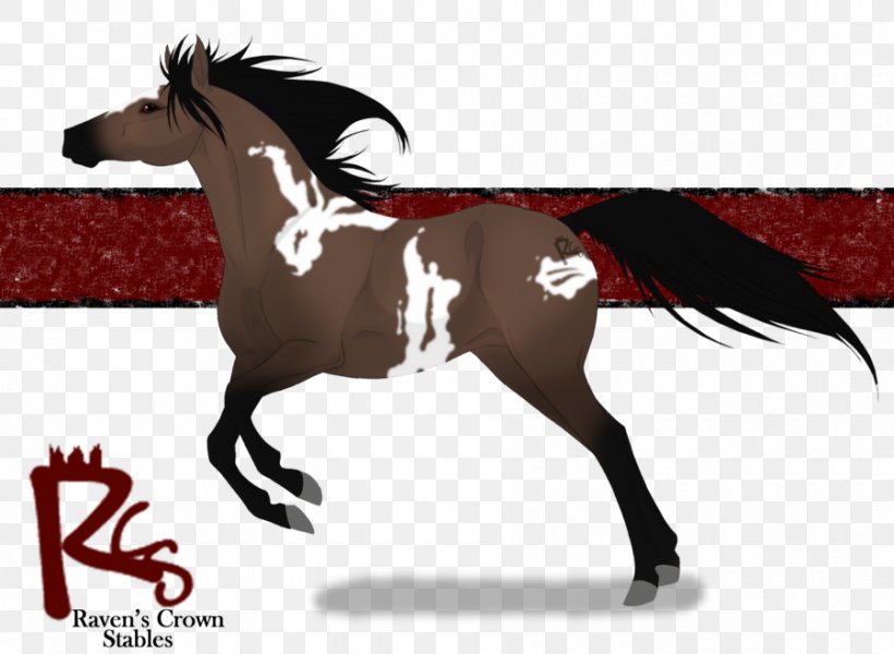 Mustang Stallion Mare Rein Pack Animal, PNG, 900x659px, Mustang, Bridle, Colt, Equestrian, Equestrian Sport Download Free
