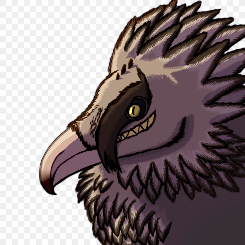 Bird Of Prey Bald Eagle Owl Vertebrate, PNG, 1024x1024px, Bird, Animal, Bald Eagle, Beak, Bird Of Prey Download Free