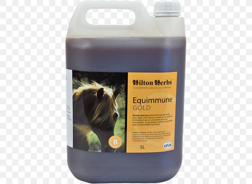Horse Liter HILTON HERBS LTD Snout, PNG, 600x600px, Horse, Gold, Herb, Hilton Hotels Resorts, Hilton Worldwide Download Free