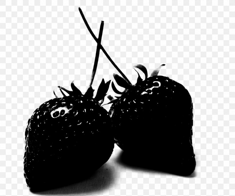 Insect Product Design Fruit, PNG, 1440x1200px, Insect, Apple, Black, Blackandwhite, Food Download Free