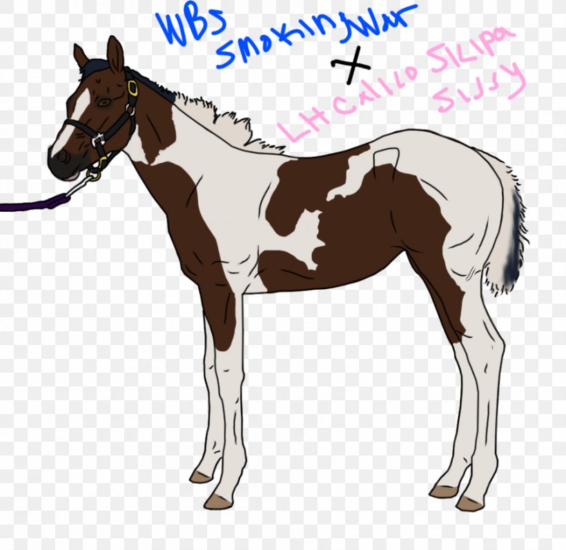 Mule Foal Stallion Mustang Colt, PNG, 900x875px, Mule, Bridle, Colt, Foal, Halter Download Free