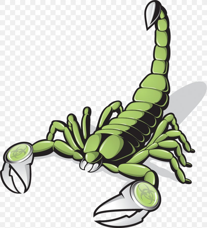 Scorpion Green Clip Art, PNG, 906x998px, Scorpion, Amblypygi, Arachnid, Arthropod, Claw Download Free