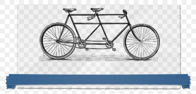 Tandem Bicycle Cycling Daisy Bell Wedding, PNG, 799x394px, Tandem Bicycle, Automotive Exterior, Bicycle, Bicycle Accessory, Bicycle Drivetrain Part Download Free