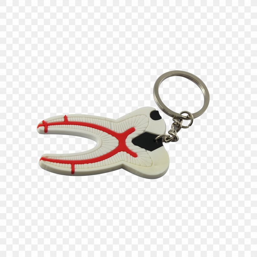 Key Chains Computer Hardware, PNG, 5184x5184px, Key Chains, Computer Hardware, Fashion Accessory, Hardware, Keychain Download Free