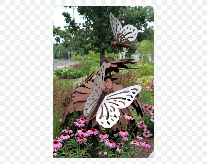Brush-footed Butterflies Butterfly Yard Meter Tree, PNG, 650x650px, Brushfooted Butterflies, Brush Footed Butterfly, Butterfly, Flora, Flower Download Free