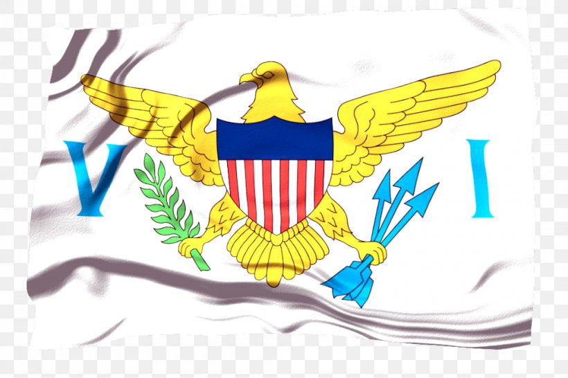 Flag Of The United States Virgin Islands United States Of America British Virgin Islands, PNG, 1000x667px, United States Virgin Islands, Beak, Brand, British Virgin Islands, Caribbean Download Free