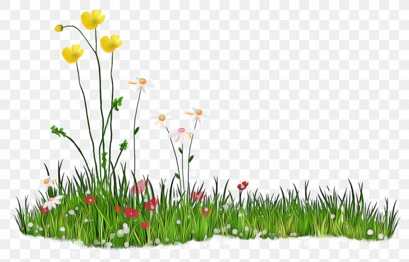 Background Family Day, PNG, 1280x822px, Child, Childrens Day, Flower, Gardening, Grass Download Free