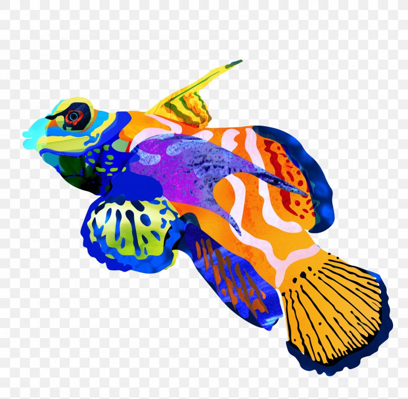 Illustration Design Fish Clip Art Animal, PNG, 1500x1470px, 2018, Fish, Animal, Autocross, Blog Download Free