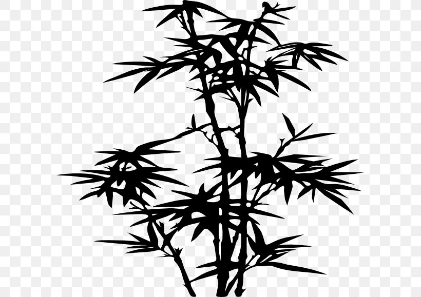Japanese Language Twig Drawing, PNG, 600x579px, Japanese Language, Arecales, Blackandwhite, Botany, Branch Download Free
