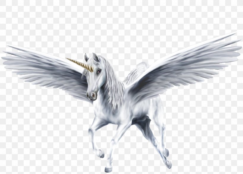 Pegasus Winged Unicorn Horse, PNG, 1300x931px, Pegasus, Beak, Bird, Feather, Fictional Character Download Free