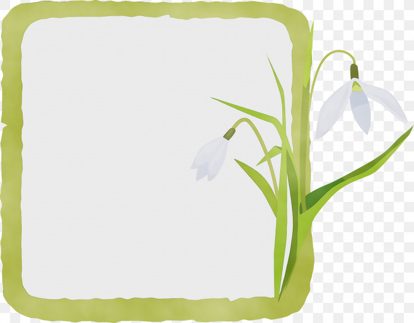 Picture Frame, PNG, 3000x2345px, Flower Frame, Film Frame, Flower, Geometry, Green Download Free