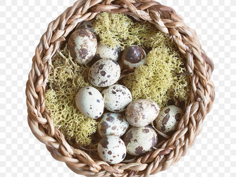 Quail Eggs Image Vector Graphics, PNG, 1024x768px, Egg, Bird Nest, Chicken Egg, Common Quail, Computer Network Download Free