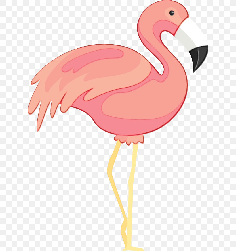 Chicken Flamingo M Beak Pink M Chicken, PNG, 626x874px, Watercolor, Beak, Chicken, Flamingo M, Paint Download Free