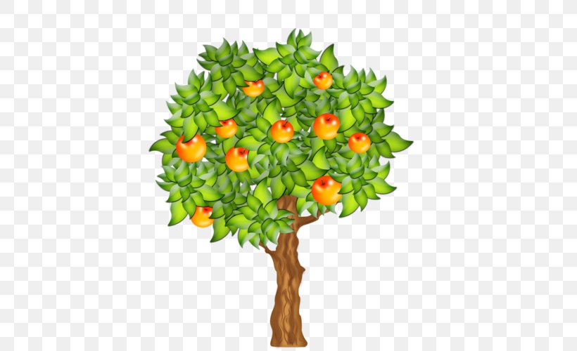 Clip Art Fruit Tree, PNG, 500x500px, Fruit Tree, Apple, Branch, Drawing, Flower Download Free