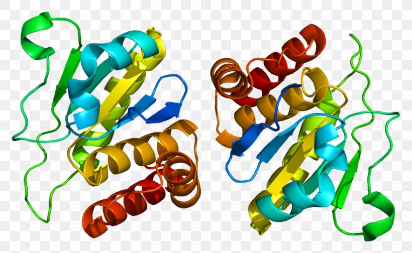 DUSP10 Dual-specificity Phosphatase Protein Phosphatase, PNG, 881x542px, Dualspecificity Phosphatase, Animal Figure, Area, Art, Artwork Download Free