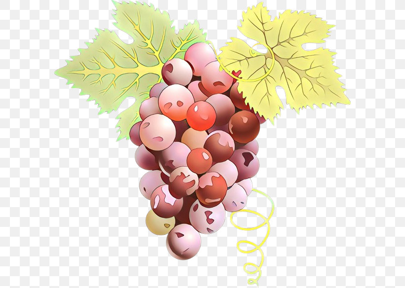 Grape Grapevine Family Fruit Food Vitis, PNG, 600x584px, Grape, Food, Fruit, Grapevine Family, Leaf Download Free