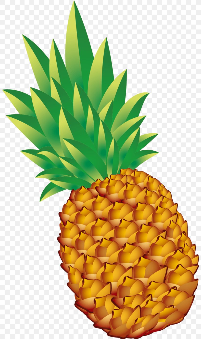 Pineapple Image Fruit Vegetarian Cuisine, PNG, 804x1380px, Pineapple, Ananas, Bromeliaceae, Cartoon, Commodity Download Free