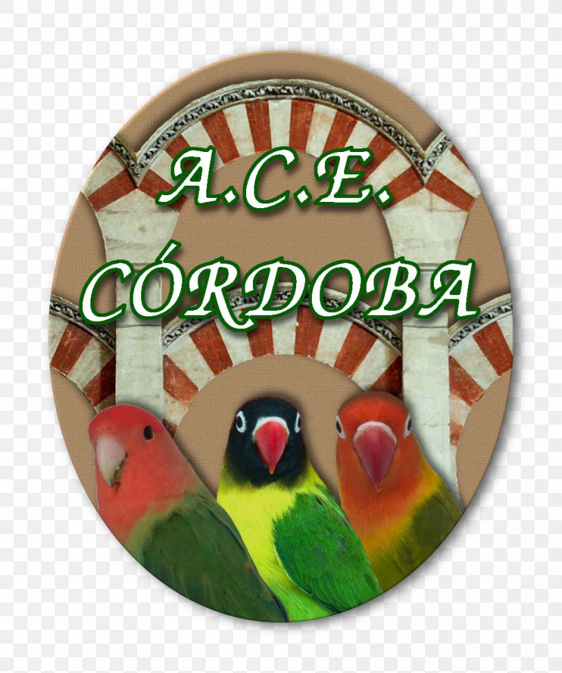 Mosque Of Cordoba Southern Vietnam Lovebird MBT Hanoi Fan Club, PNG, 1000x1200px, Mosque Of Cordoba, Christmas, Christmas Ornament, Cordoba, Facebook Inc Download Free