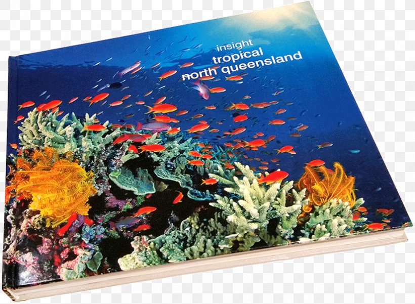 Coral Reef Fish Ecosystem Marine Biology, PNG, 825x605px, Coral Reef, Aquarium, Aquarium Decor, Biology, Coral Download Free