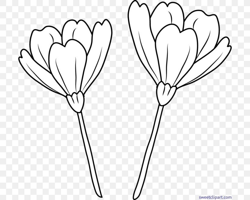 Drawing Flower Line Art Clip Art, PNG, 700x657px, Watercolor, Cartoon, Flower, Frame, Heart Download Free