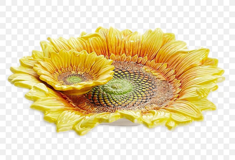 Common Sunflower Bowl Ceramic, PNG, 800x557px, Common Sunflower, Auglis, Bowl, Ceramic, Cut Flowers Download Free