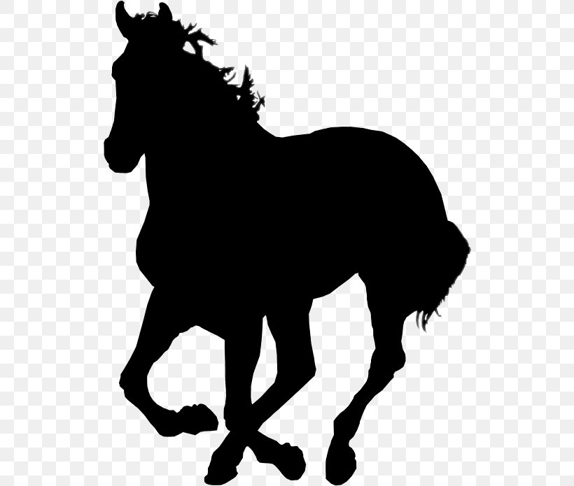 Icelandic Horse Transparency Ambling Gait Silhouette Black, PNG, 526x695px, Icelandic Horse, Ambling Gait, Animal Figure, Black, Blackandwhite Download Free