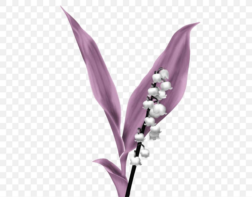 Flower Image Drawing Plants, PNG, 523x641px, Flower, Cut Flowers, Drawing, Flowering Plant, Leaf Download Free