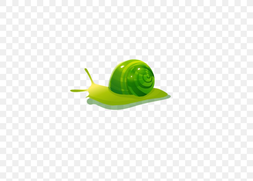 Snail, PNG, 658x588px, Snail, Green, Invertebrate, Snails And Slugs Download Free