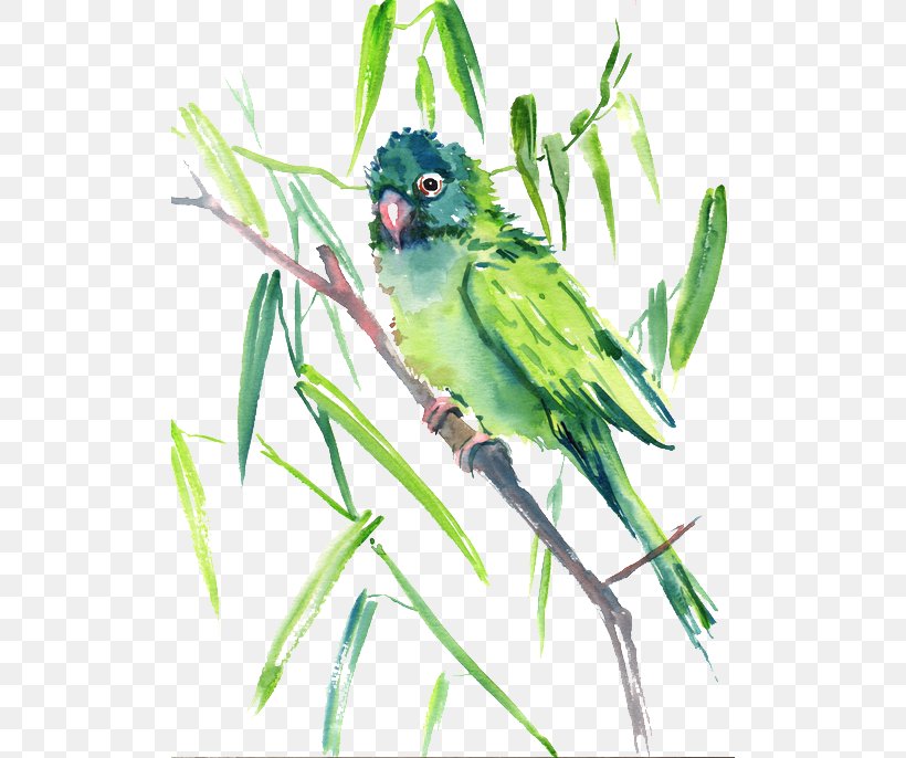 Bird Green, PNG, 510x686px, Bird, Beak, Branch, Common Pet Parakeet, Fauna Download Free