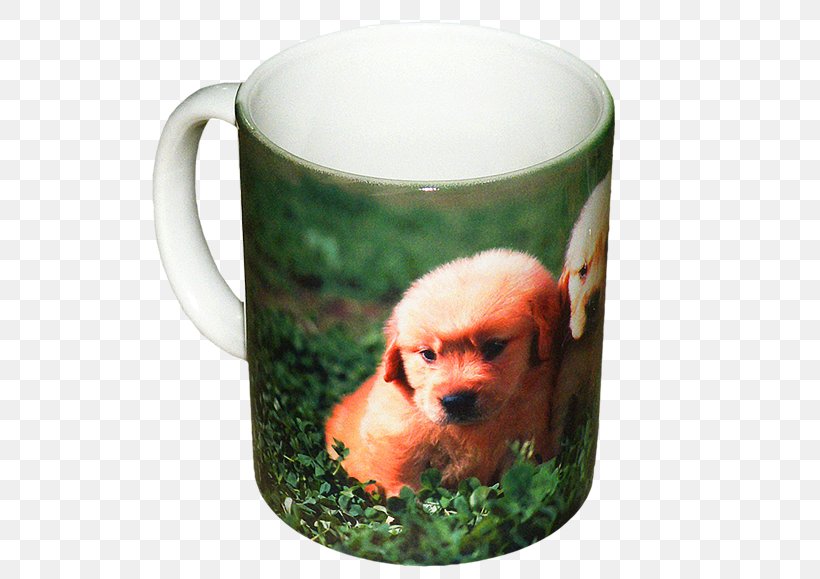 Coffee Cup Mug Snout Flowerpot, PNG, 576x579px, Coffee Cup, Cup, Drinkware, Flowerpot, Mug Download Free