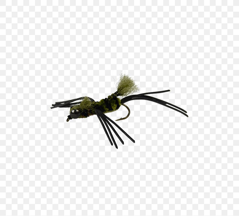 Crayfish Bass Fresh Water Fly Fishing Insect, PNG, 555x741px, Crayfish, Bass, Fishing, Fly, Fly Fishing Download Free