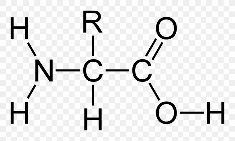 Glycine Essential Amino Acid Side Chain, PNG, 1100x662px, Glycine, Acid, Alanine, Amine, Amino Acid Download Free