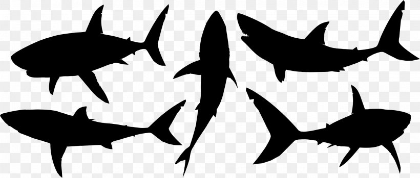 Great White Shark Silhouette Clip Art, PNG, 2270x968px, Shark, Blackandwhite, Cartilaginous Fish, Cartilaginous Fishes, Drawing Download Free