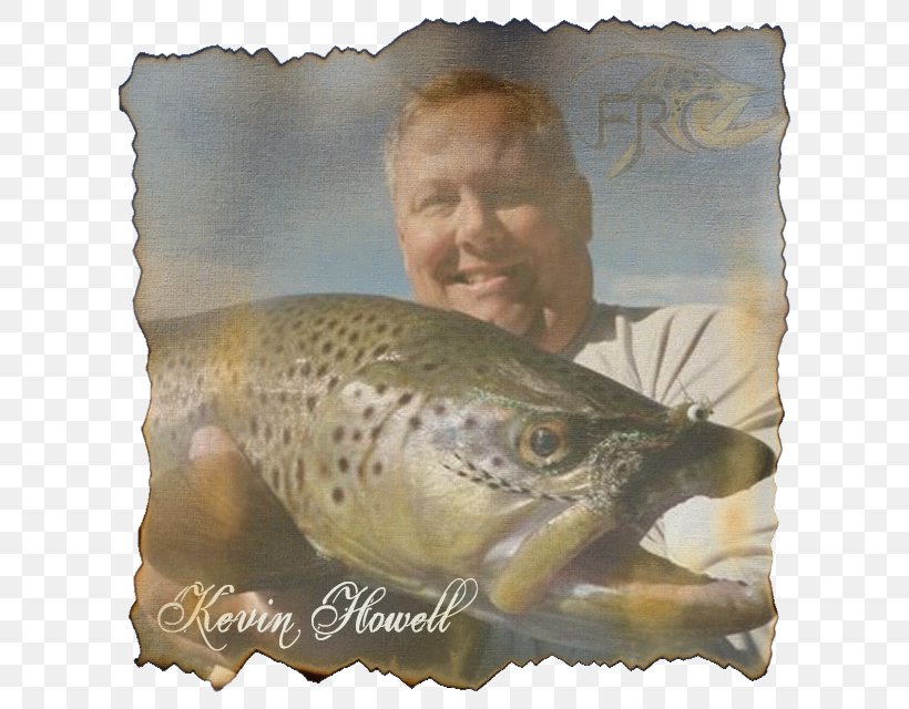 Salmon Cutthroat Trout 09777 Cod, PNG, 640x640px, Salmon, Bony Fish, Cod, Cutthroat Trout, Fish Download Free