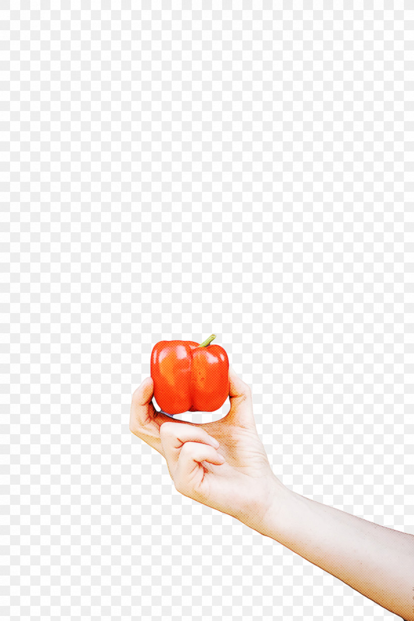 Vegetable Fruit H&m Apple, PNG, 1200x1800px, Vegetable, Apple, Fruit, Hm Download Free