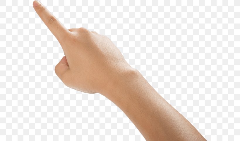 Hand Index Finger, PNG, 597x480px, Hand, Arm, Finger, Hand Model, Index Finger Download Free