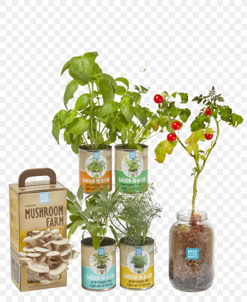Herbalism Flowerpot Bottle, PNG, 1900x2319px, Herb, Bottle, Flowerpot, Herbalism, Plant Download Free