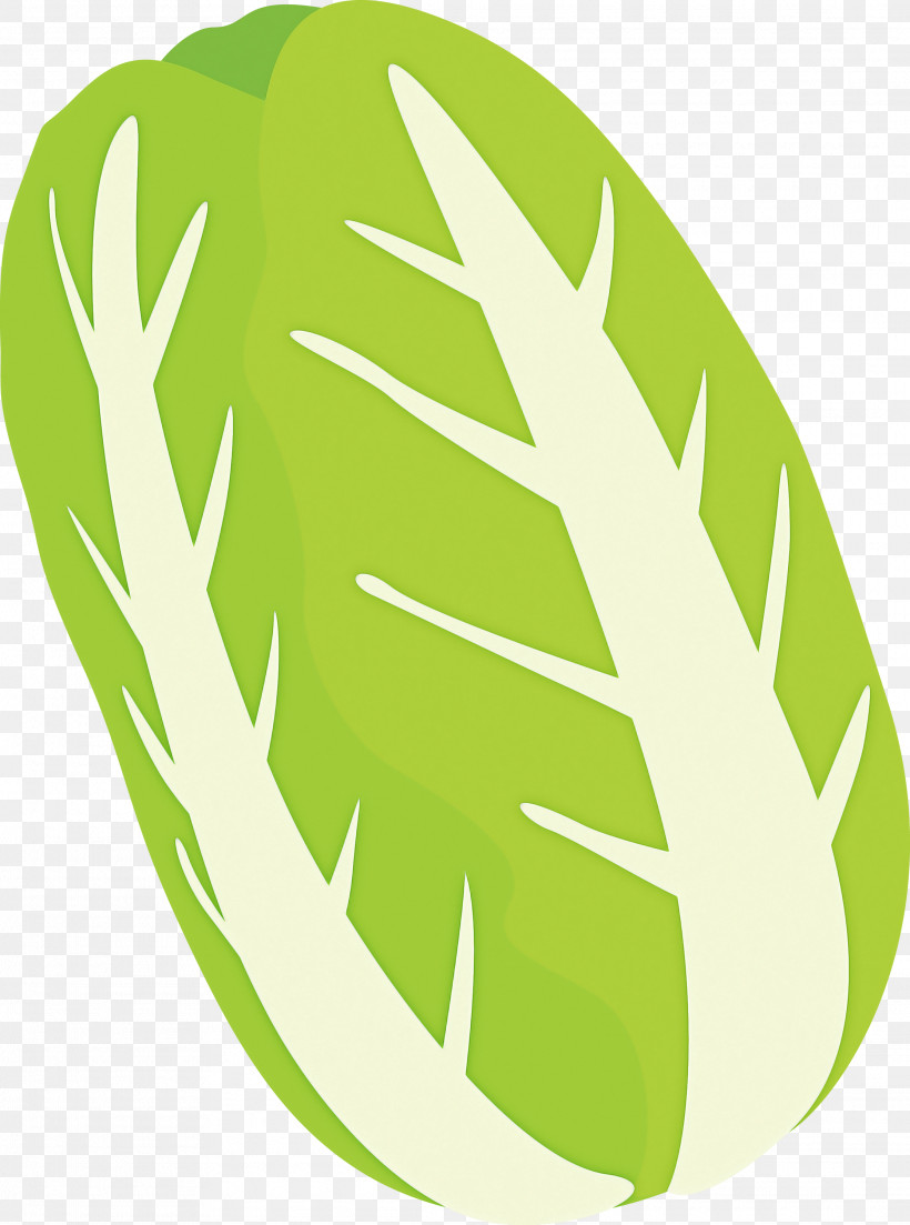 Nappa Cabbage, PNG, 2230x3000px, Nappa Cabbage, Green, Leaf, Leaf Vegetable, Logo Download Free