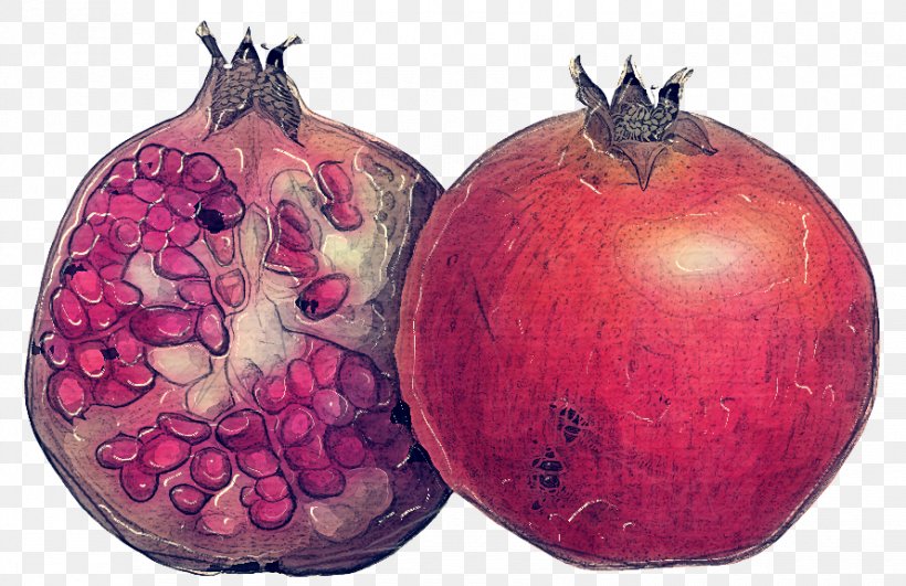 Onion Cartoon, PNG, 890x577px, Pomegranate, Accessory Fruit, Beetroot, Food, Fruit Download Free