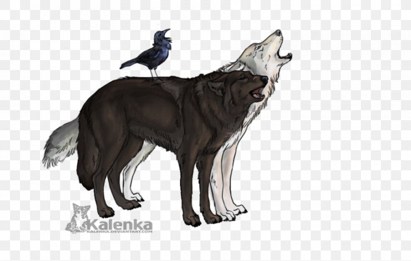 Siberian Husky Saarloos Wolfdog Animal Dog Breed, PNG, 900x572px, Siberian Husky, Animal, Breed, Canidae, Carnivora Download Free