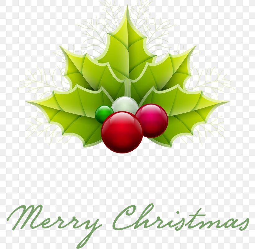 Christmas Ornament Christmas Tree Santa Claus Clip Art, PNG, 782x800px, Christmas, Aquifoliaceae, Candle, Christmas Decoration, Christmas Ornament Download Free
