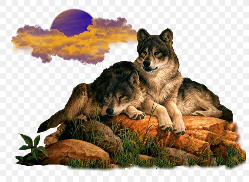 Gray Wolf Animaatio Avatar, PNG, 800x600px, Gray Wolf, Animaatio, Animation, Avatar, Blog Download Free