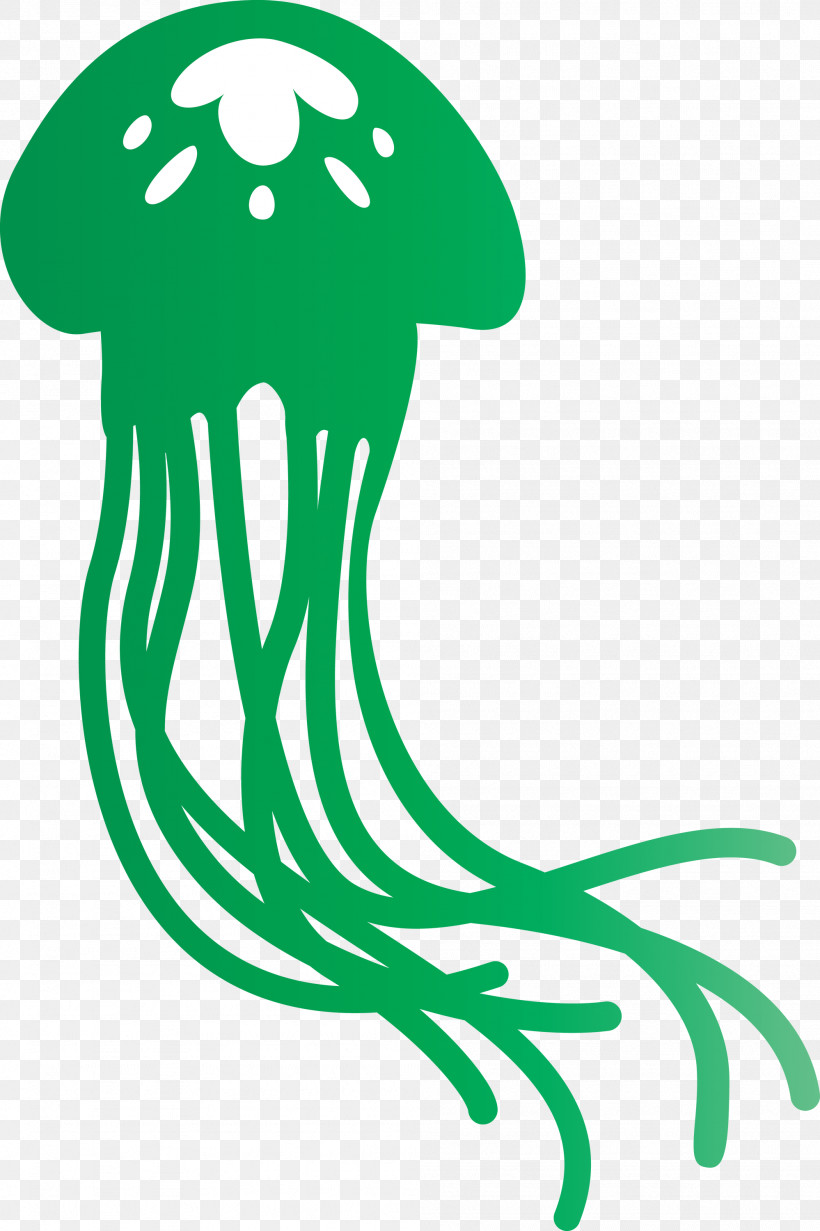 Jellyfish, PNG, 1998x3000px, Jellyfish, Biology, Green, Leaf, Line Art Download Free