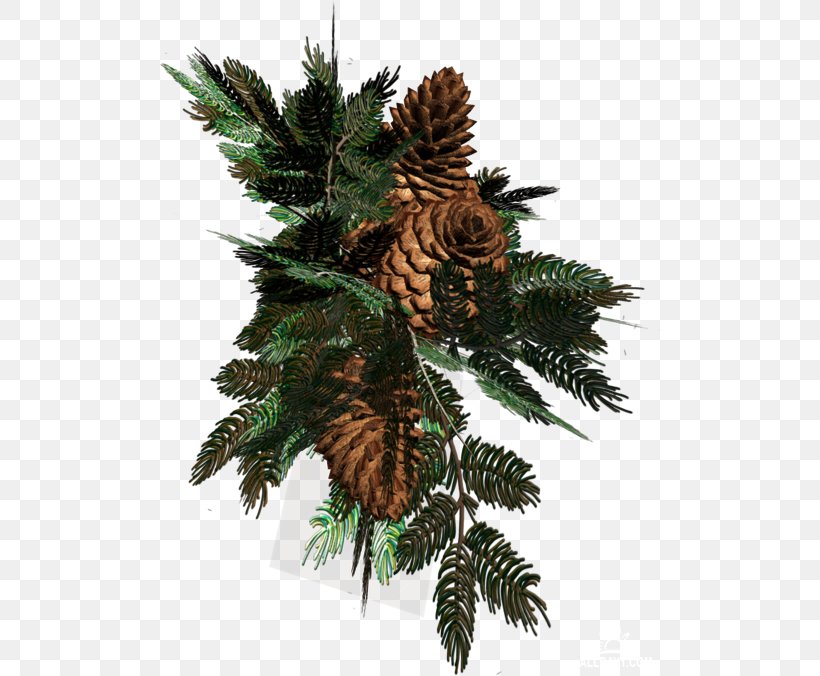 Spruce Christmas Day Christmas Ornament Christmas Tree Christmas Decoration, PNG, 500x676px, Spruce, Christmas Day, Christmas Decoration, Christmas Ornament, Christmas Tree Download Free