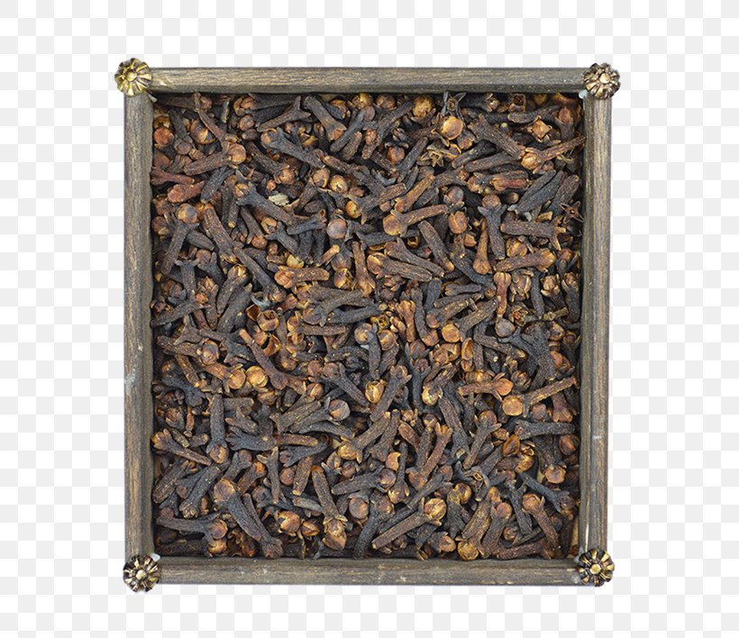 Anise Fines Herbes Mentha Spicata Dill Fennel, PNG, 570x708px, Anise, Adas, Dianhong, Dill, Earl Grey Tea Download Free