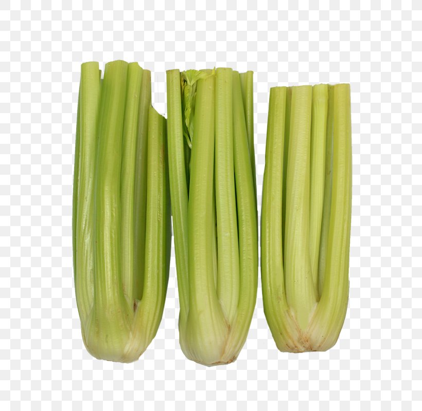 Celery Flowerpot, PNG, 800x800px, Celery, Commodity, Flowerpot, Plant Stem, Vegetable Download Free