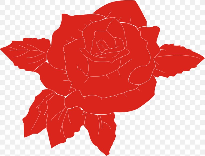 Garden Roses Rosa Chinensis Alcea Rosea Clip Art, PNG, 857x655px, Garden Roses, Alcea Rosea, Black Rose, Carnation, Flower Download Free