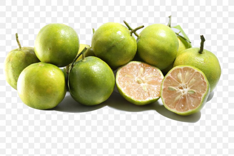 Key Lime Persian Lime Sweet Lemon Lemonade, PNG, 900x600px, Lime, Apple, Bee, Calamondin, Citrus Download Free