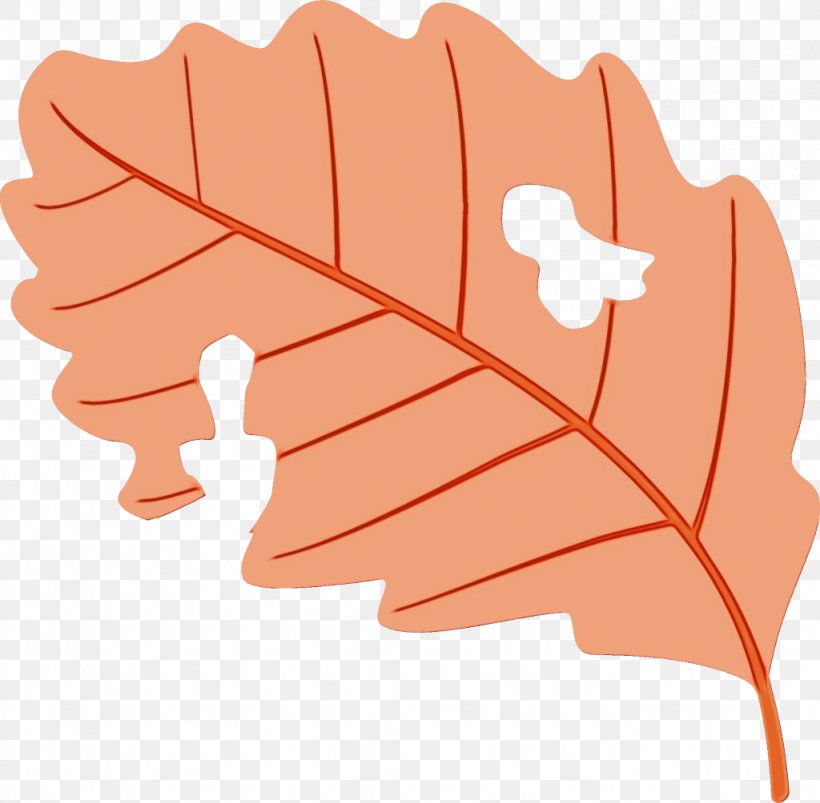 Leaf Tree Plant, PNG, 1024x1004px, Watercolor, Leaf, Paint, Plant, Tree Download Free