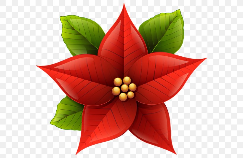 Poinsettia Christmas Clip Art, PNG, 600x533px, Poinsettia, Art, Christmas, Document, Drawing Download Free